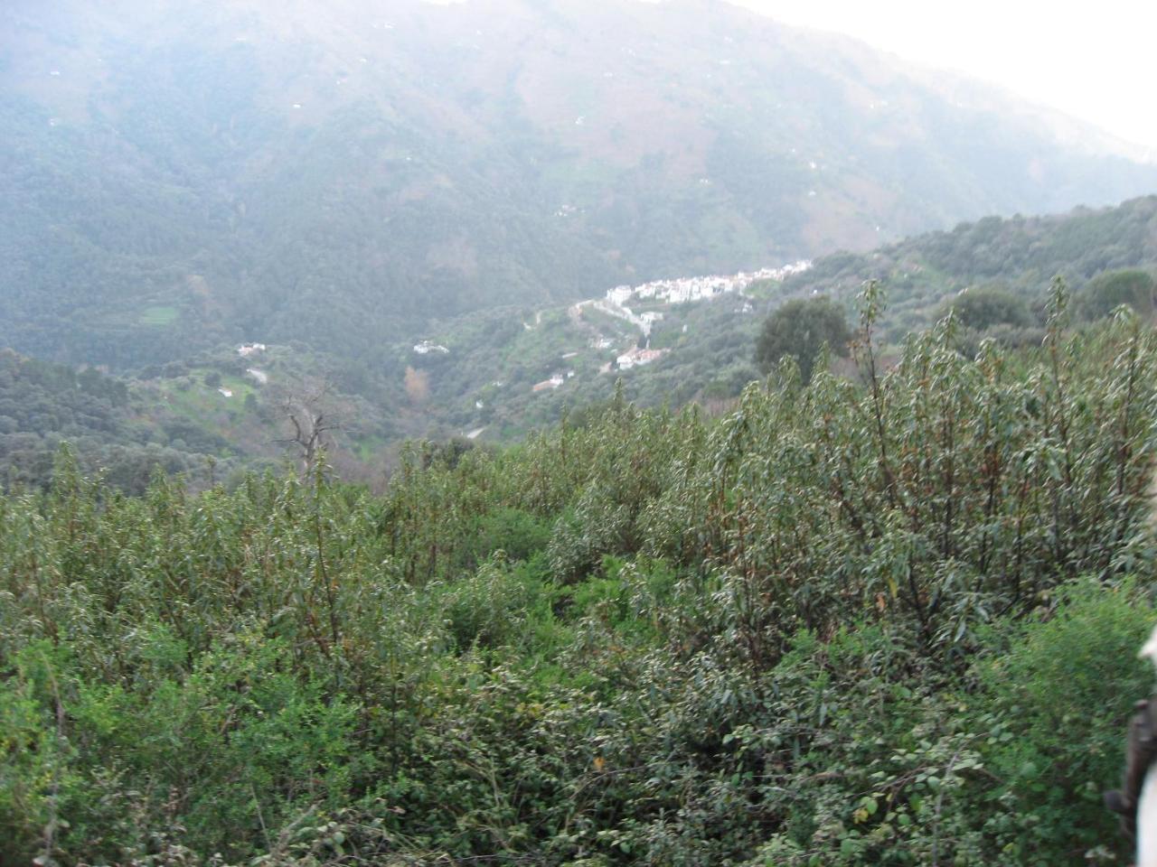 Apartamentos Rurales Mirador De Jubrique 外观 照片
